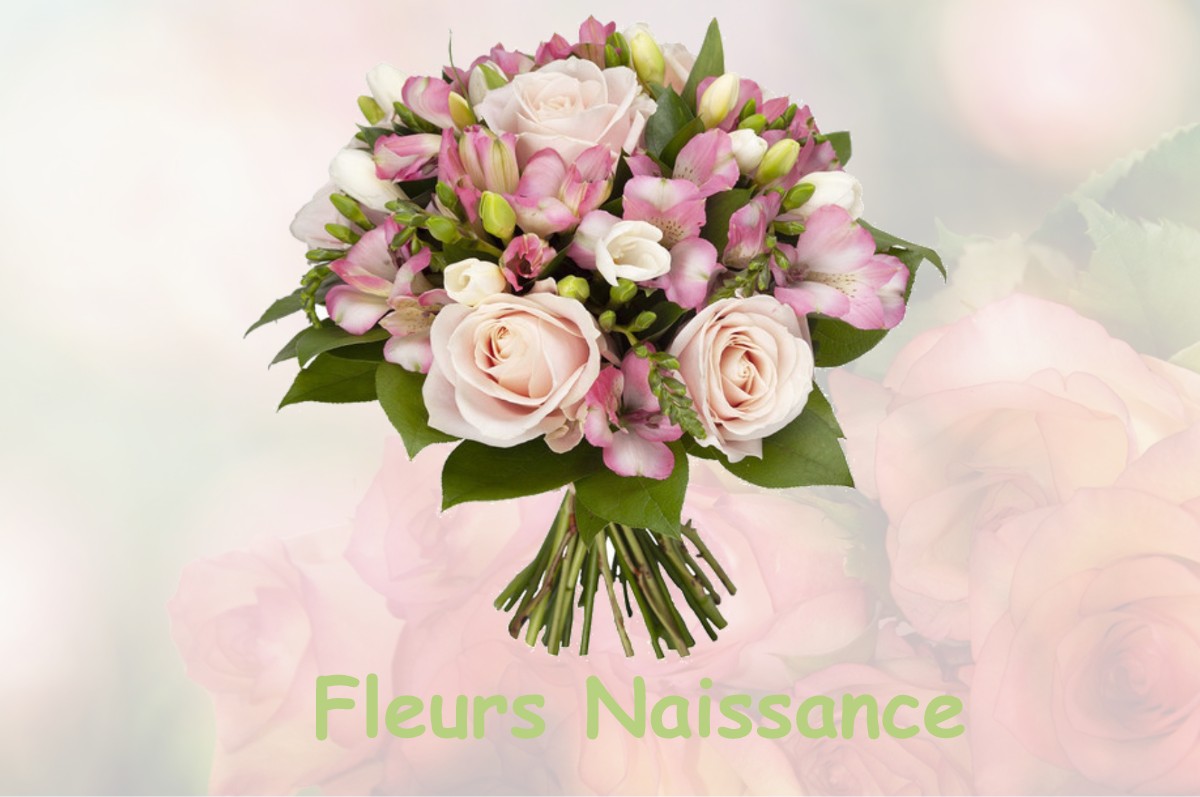 fleurs naissance CHAMPTEUSSE-SUR-BACONNE