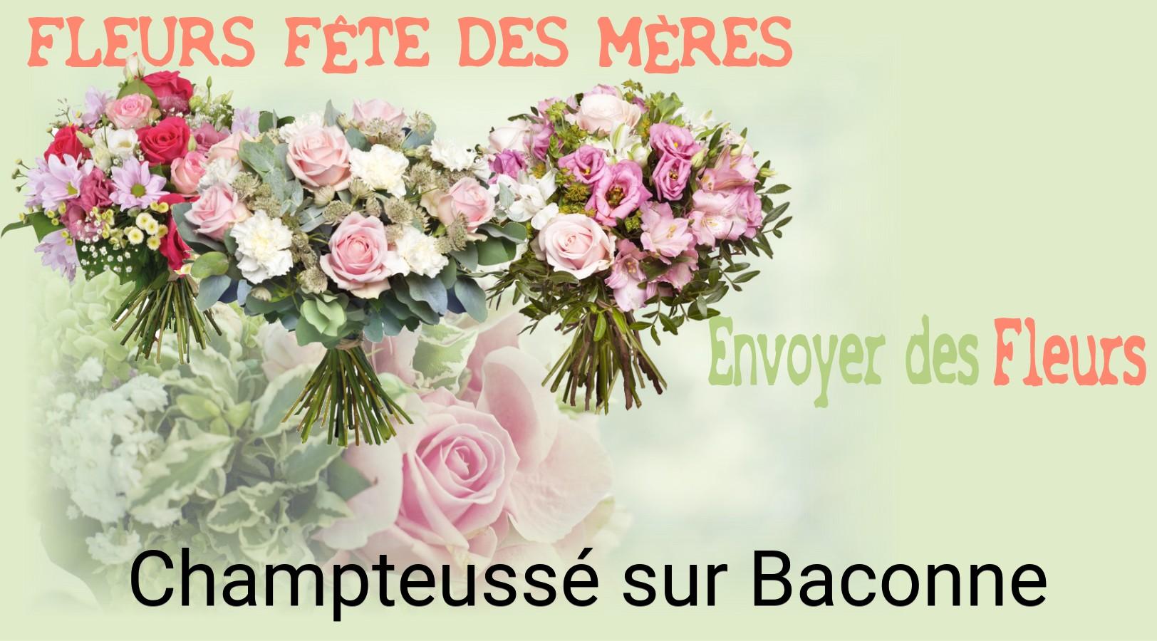 Bouquet de Fête des Mères livré à Champteussé-sur-Baconne